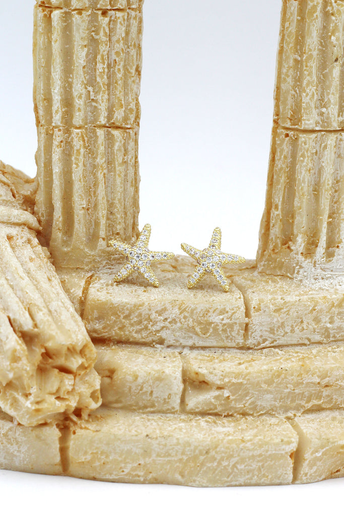 fashion star crystal earrings