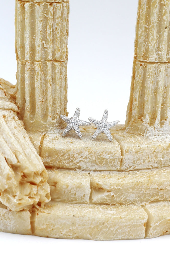 fashion star crystal earrings