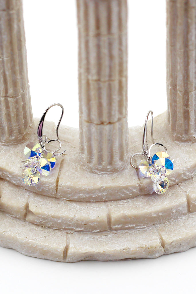 Lovely Silver shiny Crystal Earrings
