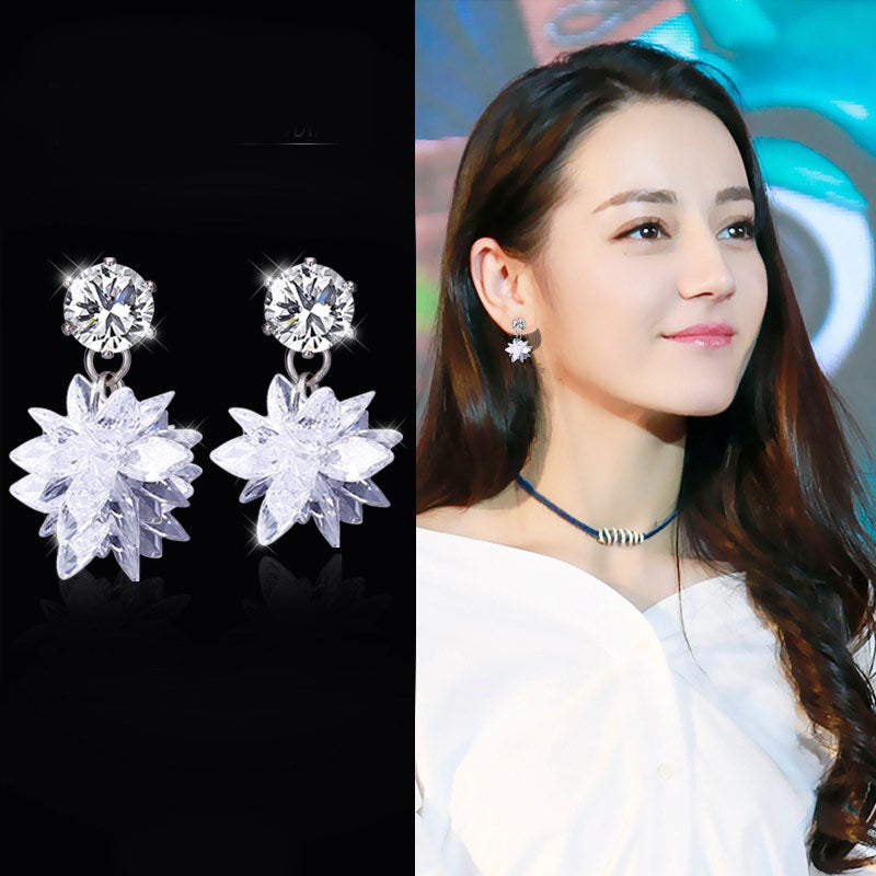 Noble Crystal Ice Earrings