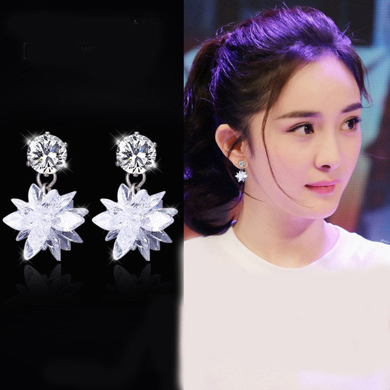 Noble Crystal Ice Earrings