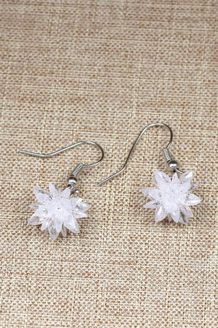 Sector silver crystal earrings