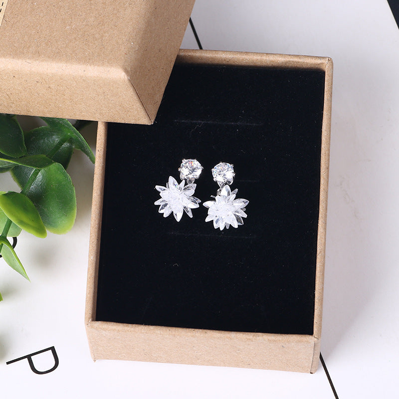 Noble Crystal Ice Earrings