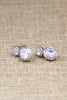 delicate sparkling crystal earrings