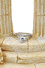 shiny inlaid zircon necklace ring set