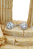 shiny small pendant clavicle chain earrings set