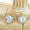 shiny small pendant clavicle chain earrings set