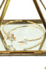 golden butterfly crystal bangle earrings set