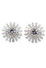 shining crystal layer earrings