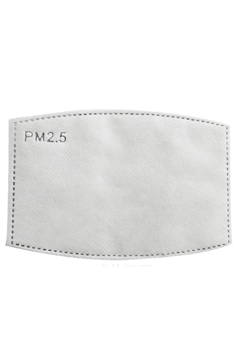 PM 2.5 Mask filters